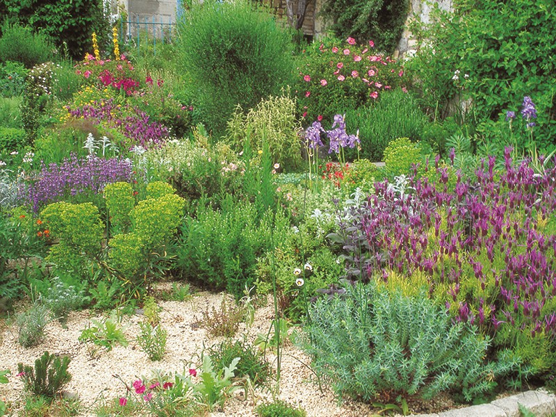 How to Create Your Own Mediterranean Style Garden Living North
